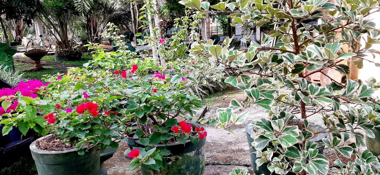Hiriketiya Cinnamon Garden Dickwella Zewnętrze zdjęcie