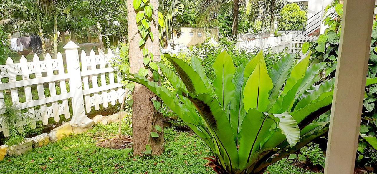 Hiriketiya Cinnamon Garden Dickwella Zewnętrze zdjęcie