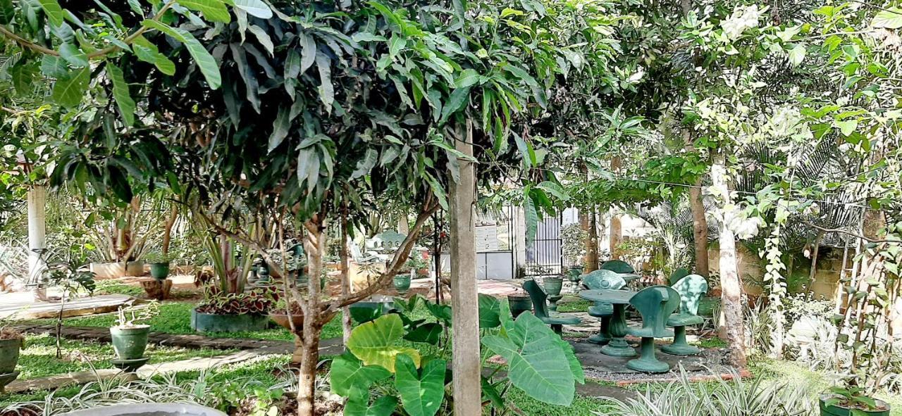 Hiriketiya Cinnamon Garden Dickwella Zewnętrze zdjęcie