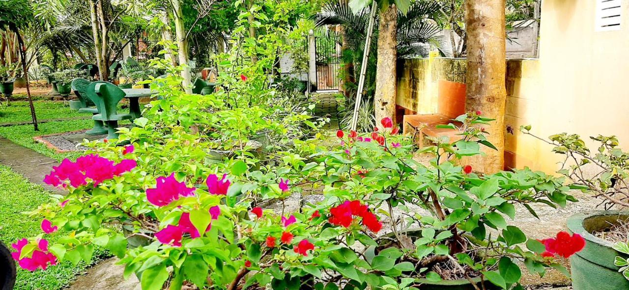 Hiriketiya Cinnamon Garden Dickwella Zewnętrze zdjęcie