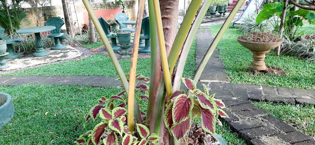 Hiriketiya Cinnamon Garden Dickwella Zewnętrze zdjęcie
