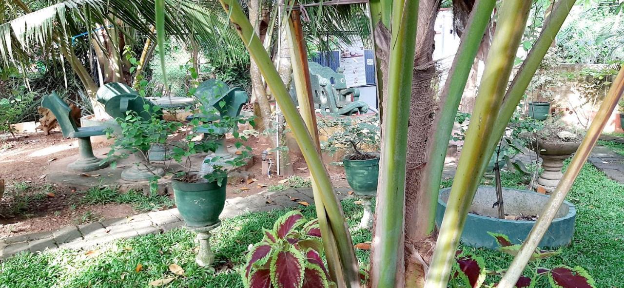 Hiriketiya Cinnamon Garden Dickwella Zewnętrze zdjęcie