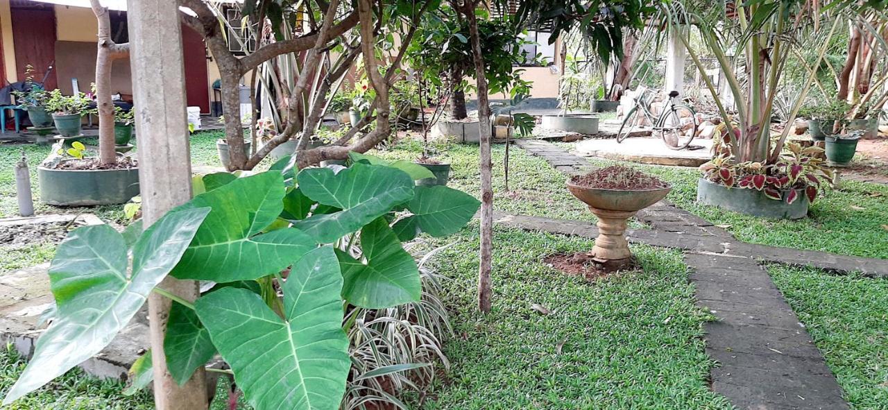 Hiriketiya Cinnamon Garden Dickwella Zewnętrze zdjęcie