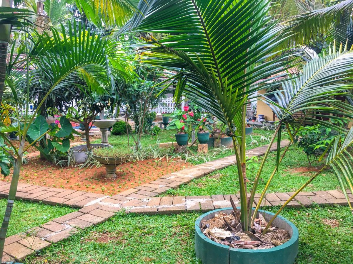 Hiriketiya Cinnamon Garden Dickwella Zewnętrze zdjęcie